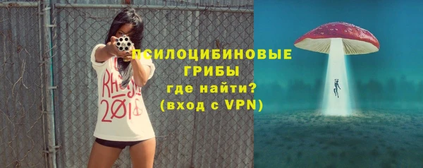 МДПВ Мегион
